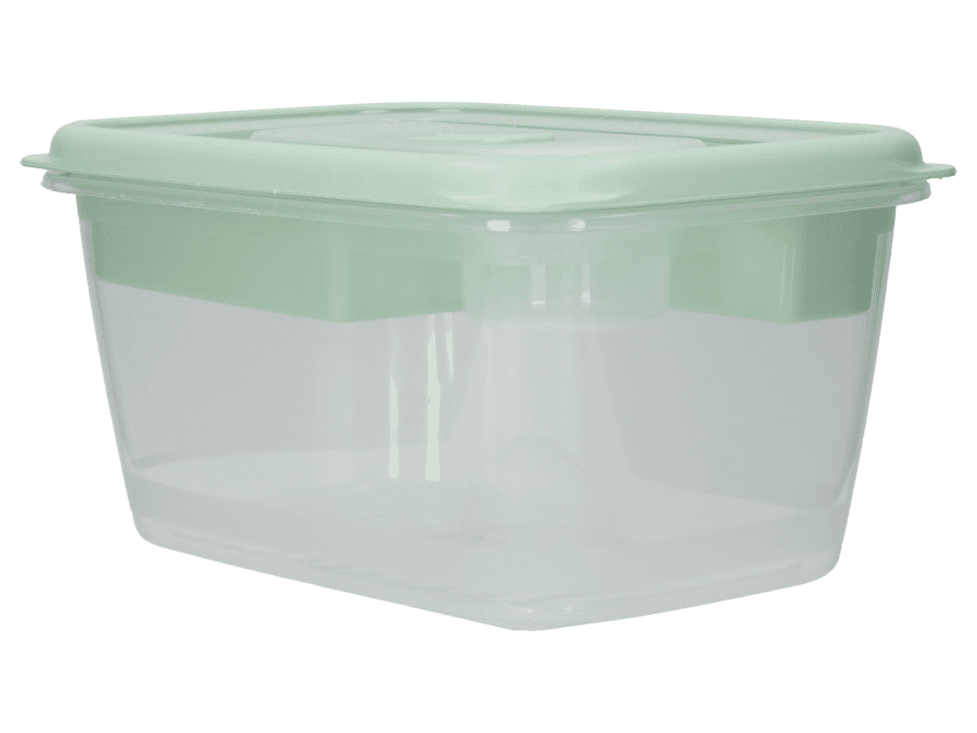 Salade lunch box 1.7ltr – groen - Wibra